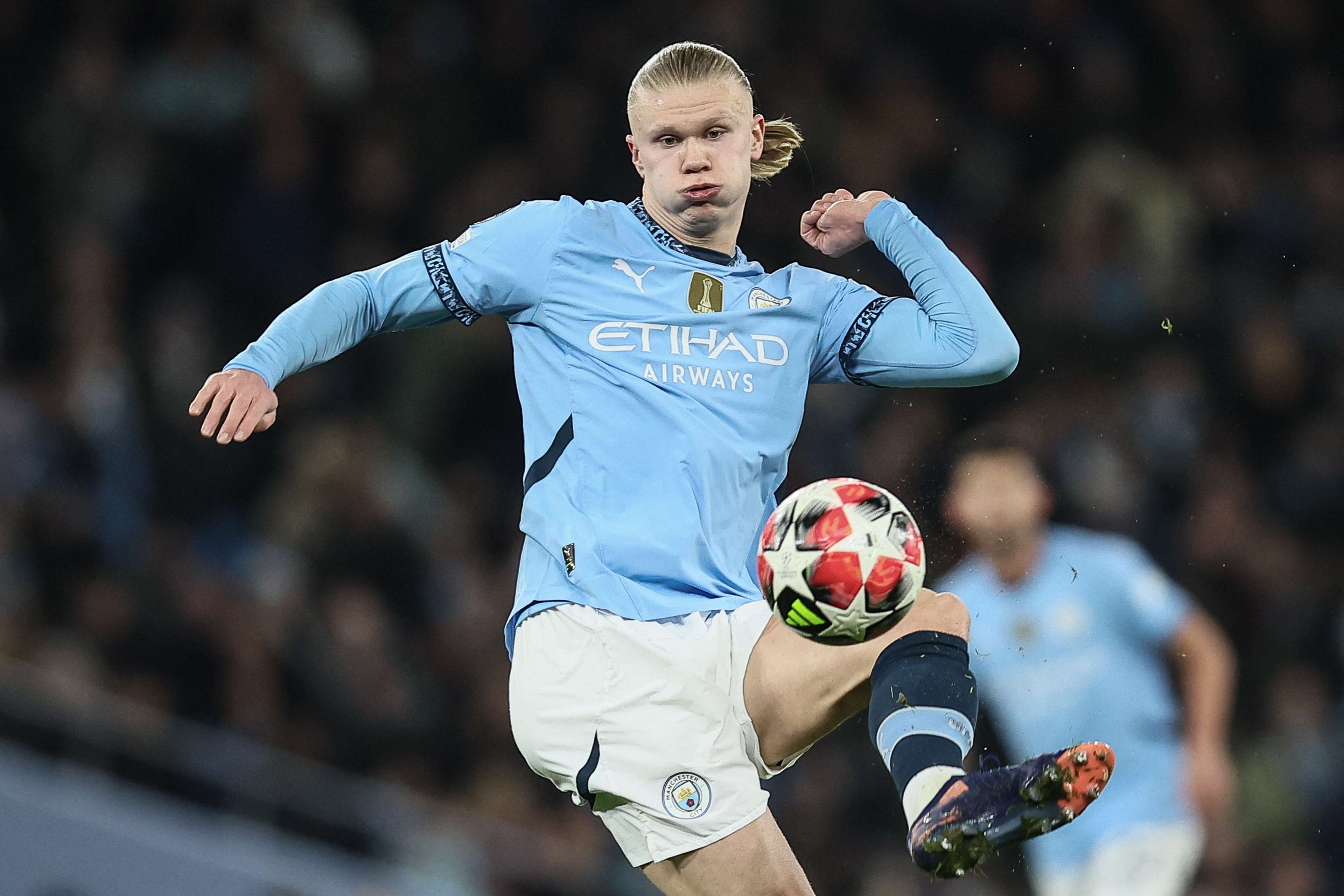 整体表现 整体表现